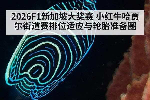 2026F1新加坡大奖赛 小红牛哈贾尔街道赛排位适应与轮胎准备圈